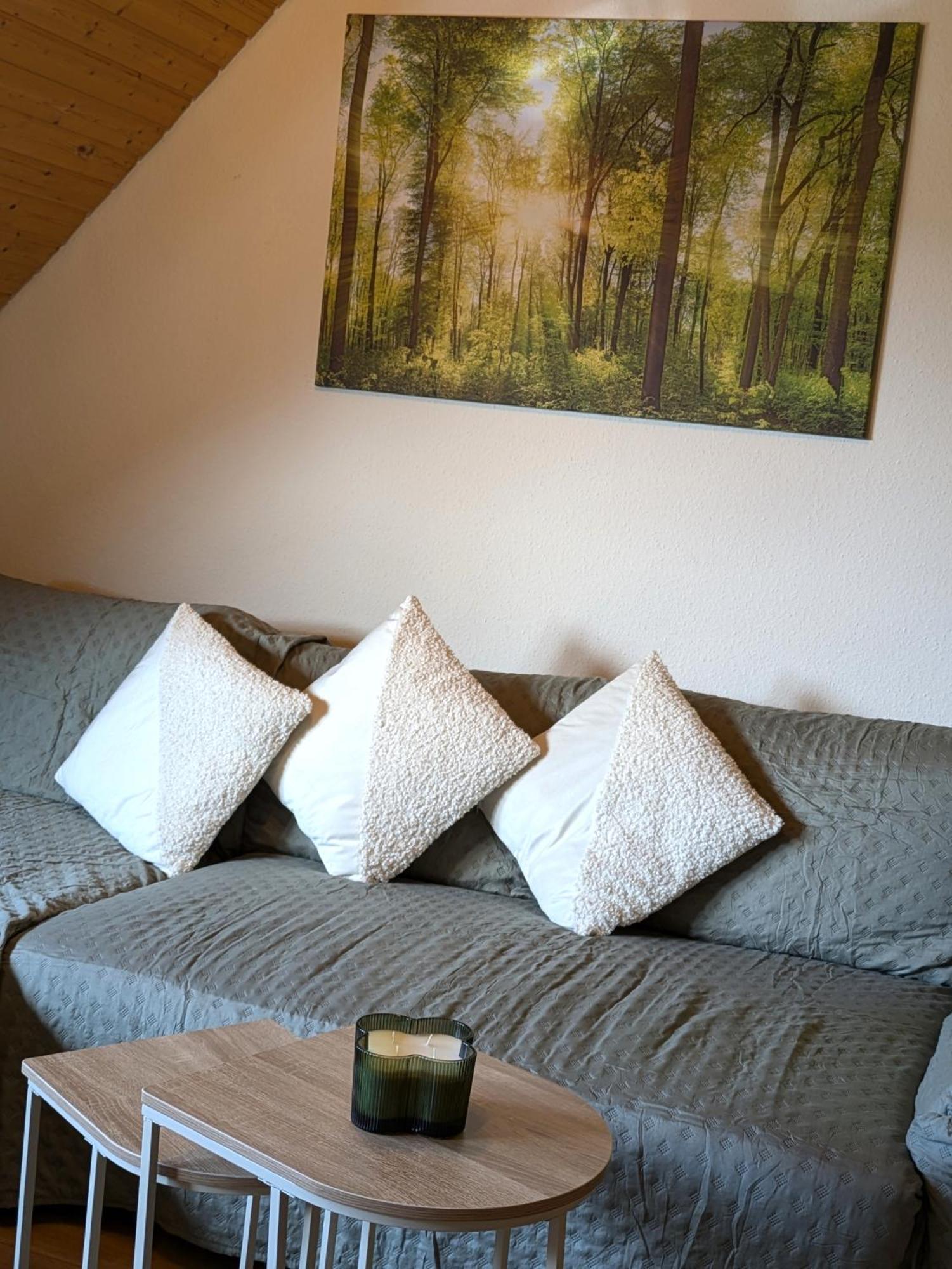 Black Forest Living - Todtnauberg Apartment Exterior photo